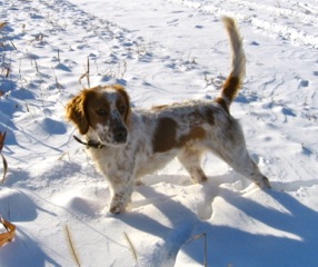 Mac's Dashing M J